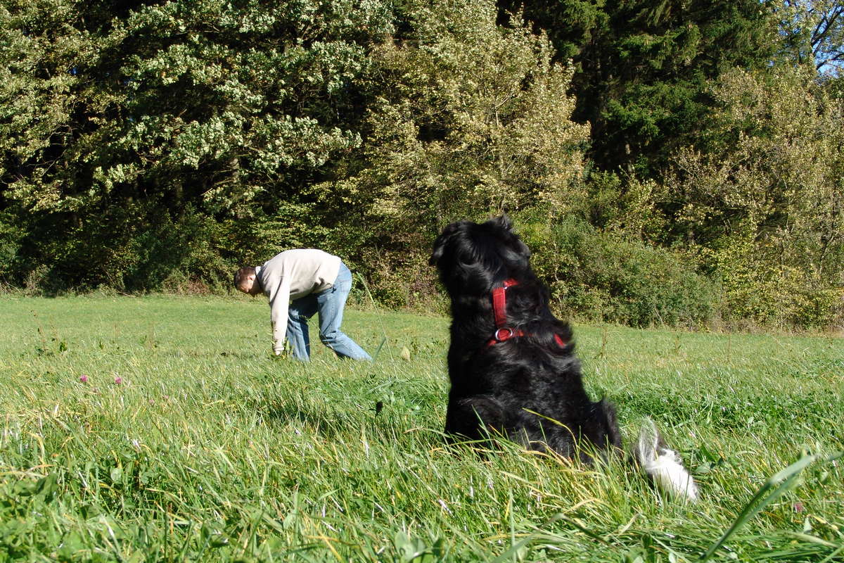 Handschuh verloren SPASSMITHUND