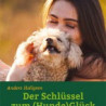 Sei nett zu deinem Hund!